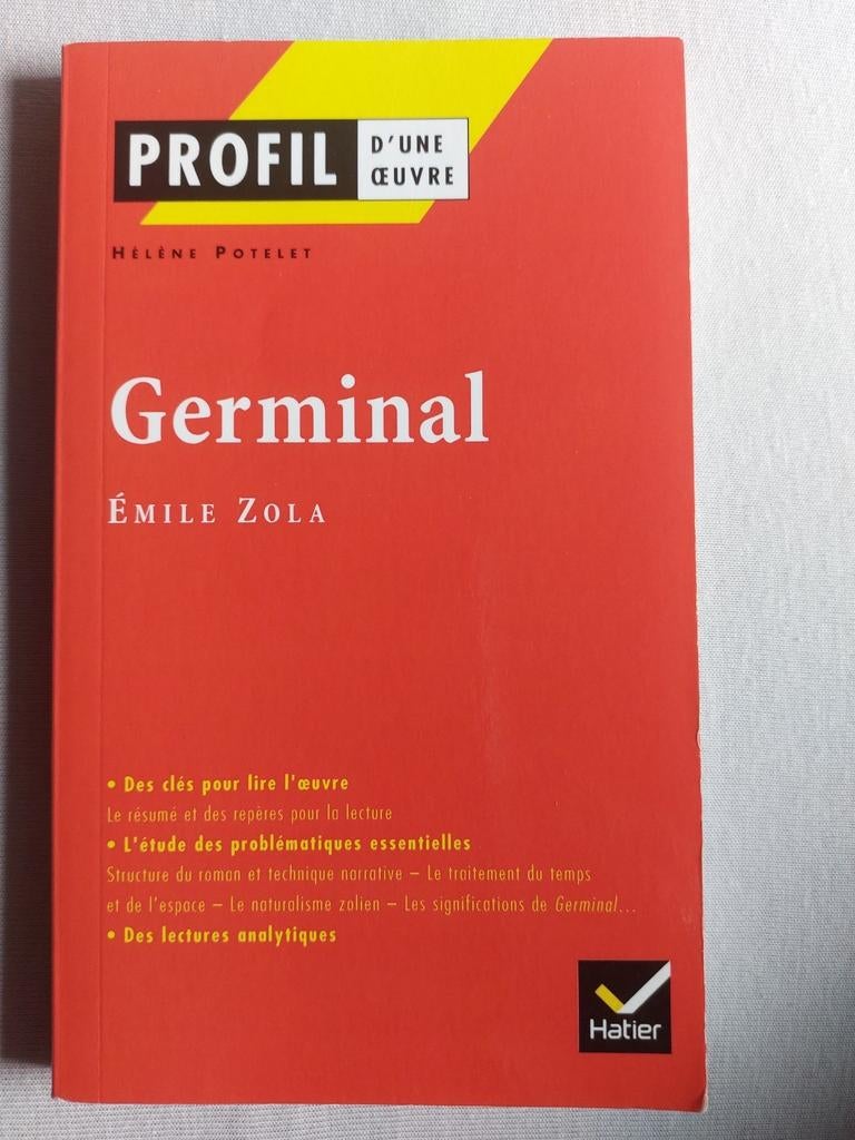 Germinal  d'Émile Zola, Livres, Enlèvement, Utilisé, Français