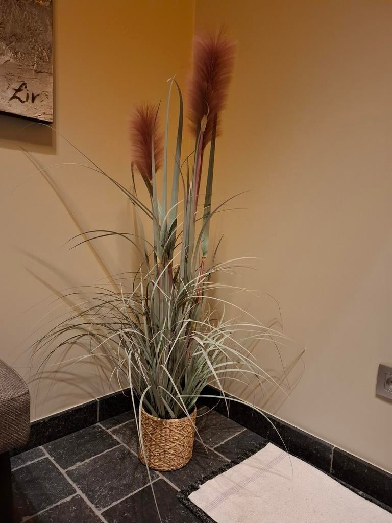 Nep plant pampas met pot +/- 120 cm hoog nieuwstaat, Ophalen, Zo goed als nieuw