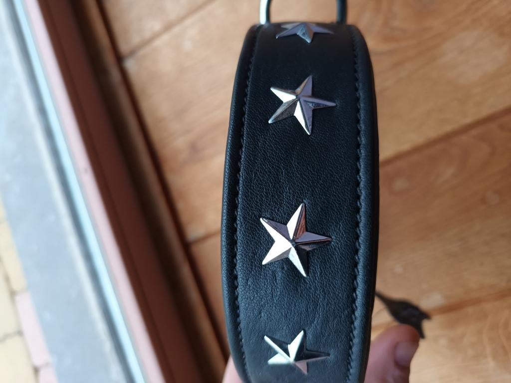 Nieuwe lederen halsband voor hond, Ophalen of Verzenden, Nieuw