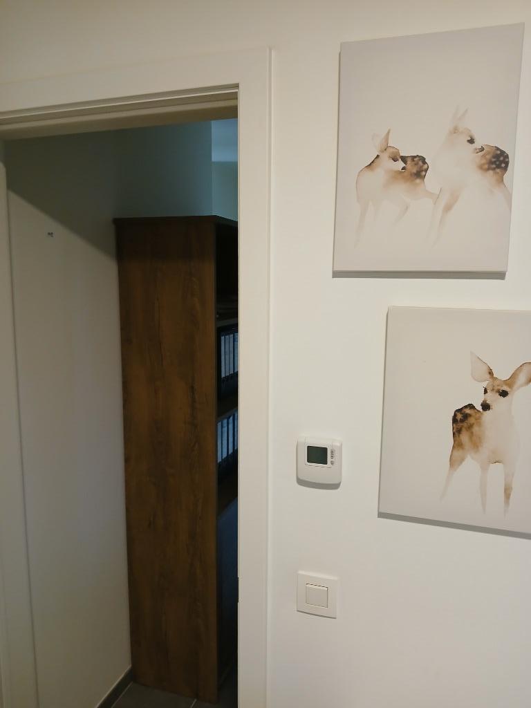 Canvas hertjes, Antiek en Kunst, Ophalen