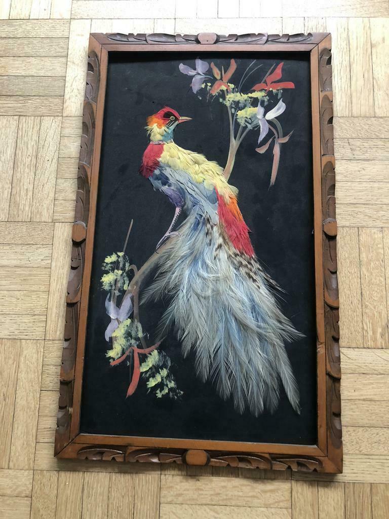 Cadre avec bel oiseau à plumes  - 44 X 26,5cm -, Maison & Meubles