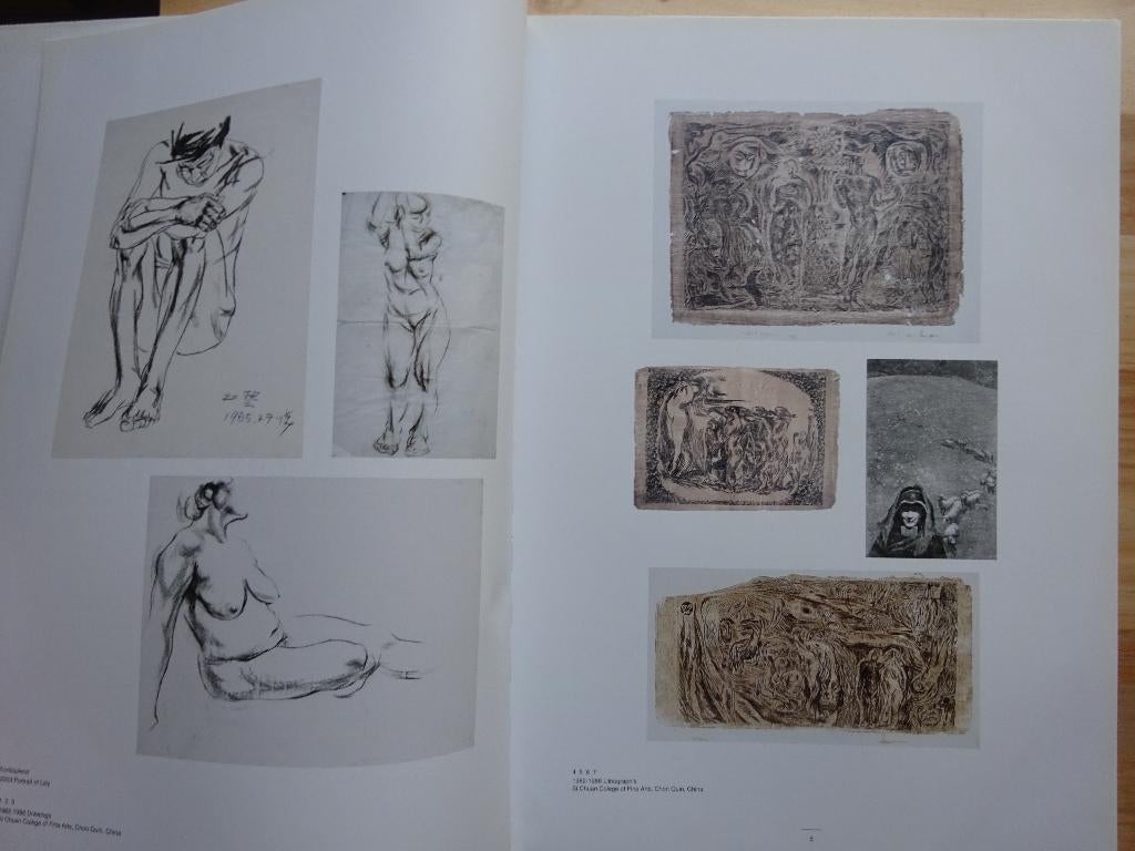 Zhang Hong Yi, 2007 Stichting Ateljee, the monumental works, Enlèvement ou Envoi, Comme neuf, Peinture et dessin