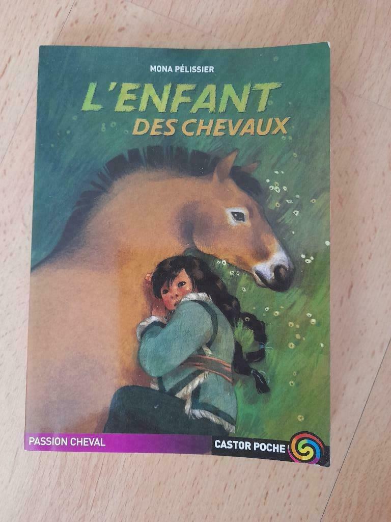 Livre L'enfant des Chevaux - Castor poche, Enlèvement ou Envoi, Utilisé, Mona Pélissier, Fiction