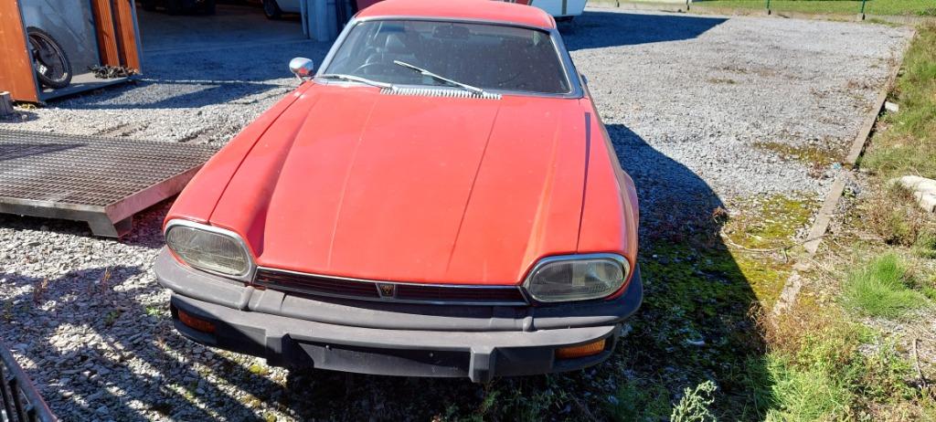 oldtimer jaguar xjs, Auto's, Automaat, 4 zetels, Bedrijf, 5344 cc