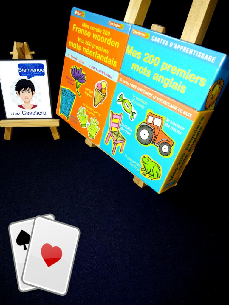 Lot de 2 x 50 cartes vocabulaire - Mes 200 premiers mots ang, Enlèvement ou Envoi, Comme neuf, Découverte