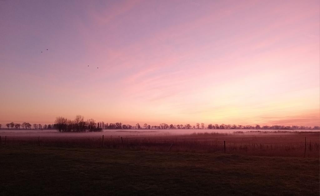 Verzorger, paardenliefhebber gezocht., Dieren en Toebehoren, Paarden, Ruin, Zadelmak