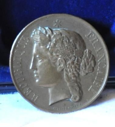 medaille bronze republique française, Enlèvement ou Envoi, Bronze