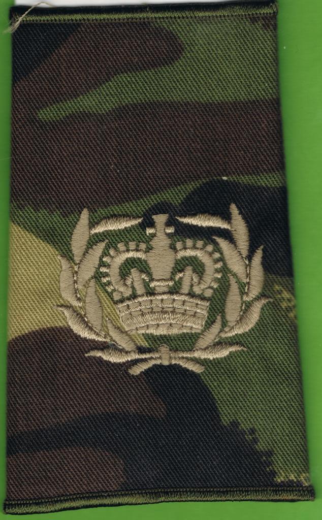 Britisch Army Warrant Officer 2nd Class Rank ( SP20 ), Enlèvement ou Envoi, Armée de terre, Emblème ou Badge