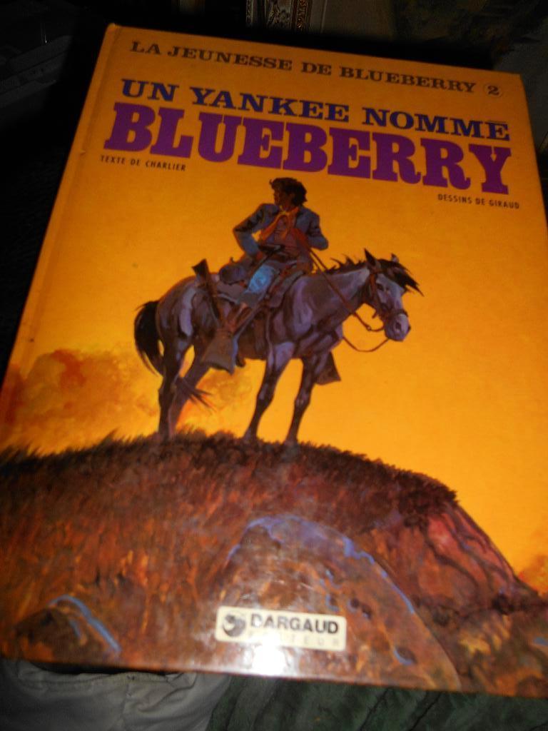 La jeunesse de Blueberry 2 de 1980, Livres, Enlèvement ou Envoi