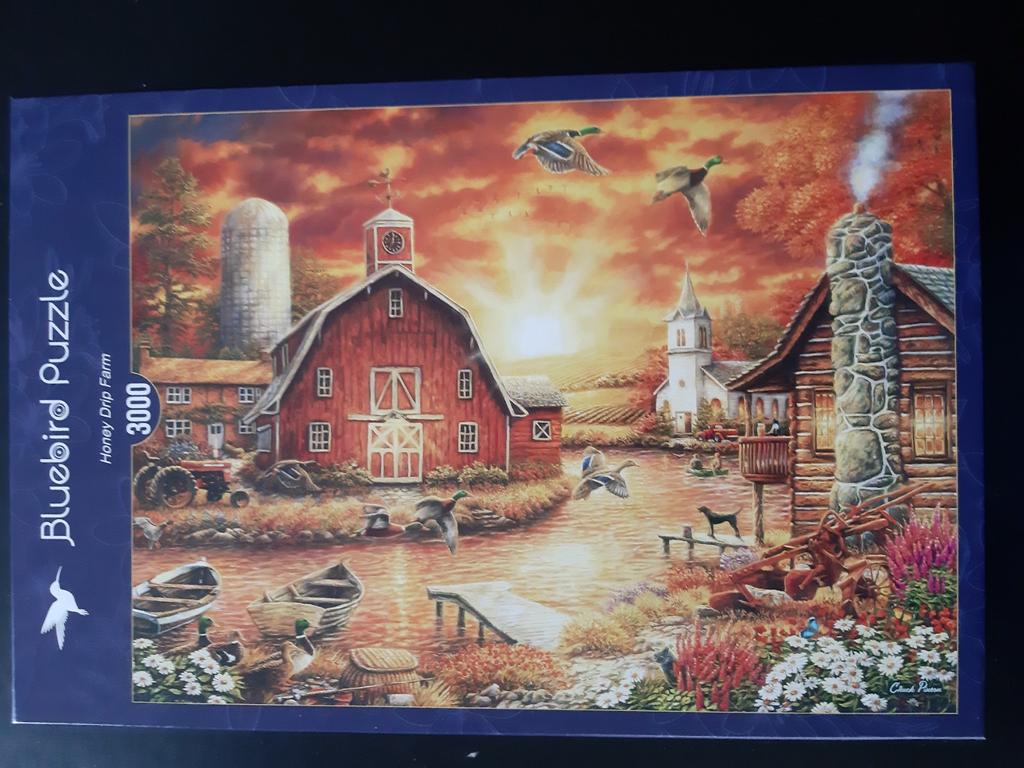 Puzzel bluebird 3000 stukjes 10 euro, Ophalen