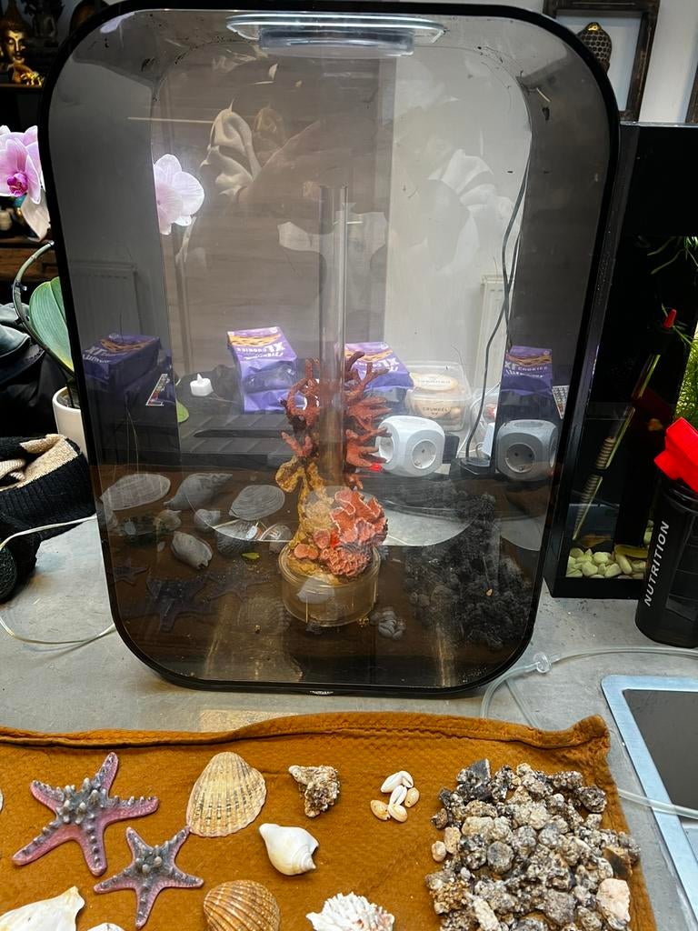 Biorb life 45 aquarium met alle decoratie’s en benodigdheden, Enlèvement, Utilisé