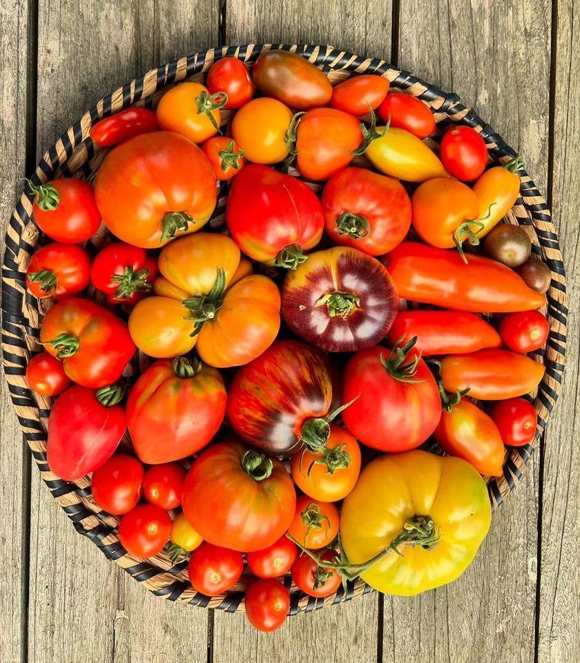 Zaden peper paprika tomaten groenten bloemen, Tuin en Terras, Ophalen of Verzenden