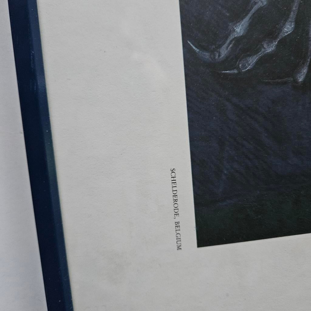 Schilderij octave landuyt, Antiek en Kunst, Ophalen