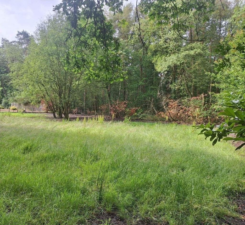 Kamperen, Ophalen of Verzenden