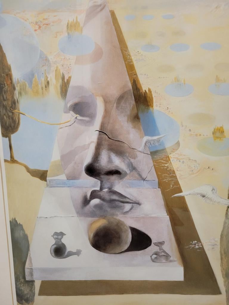 Reproduction par Salvador Dali., Antiquités & Art, Enlèvement