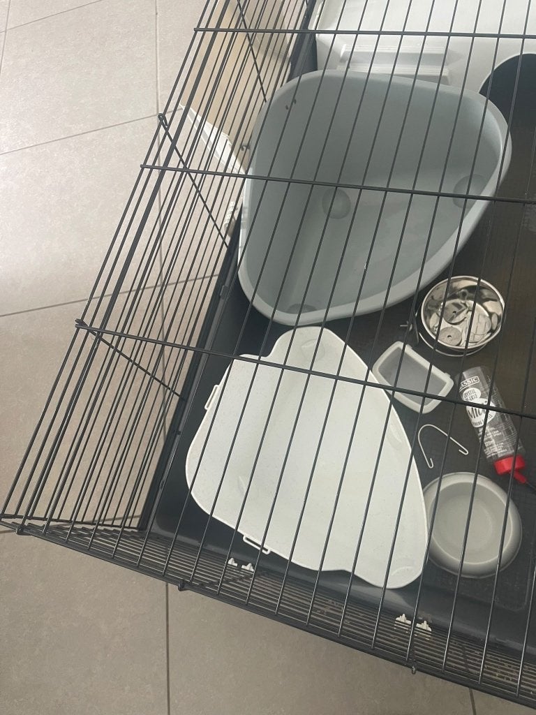 Cage à lapin Ferplast XL avec accessoires gratuits, Hamster, Moins de 60 cm, Cage, Enlèvement
