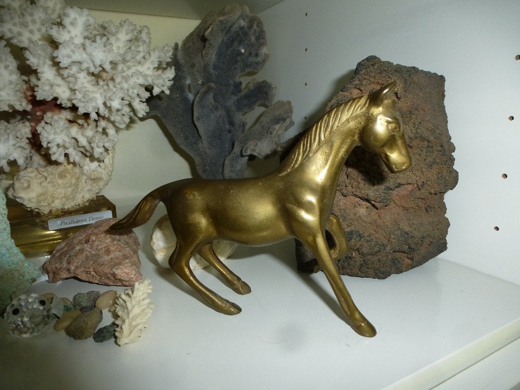 Figurine animale, Enlèvement