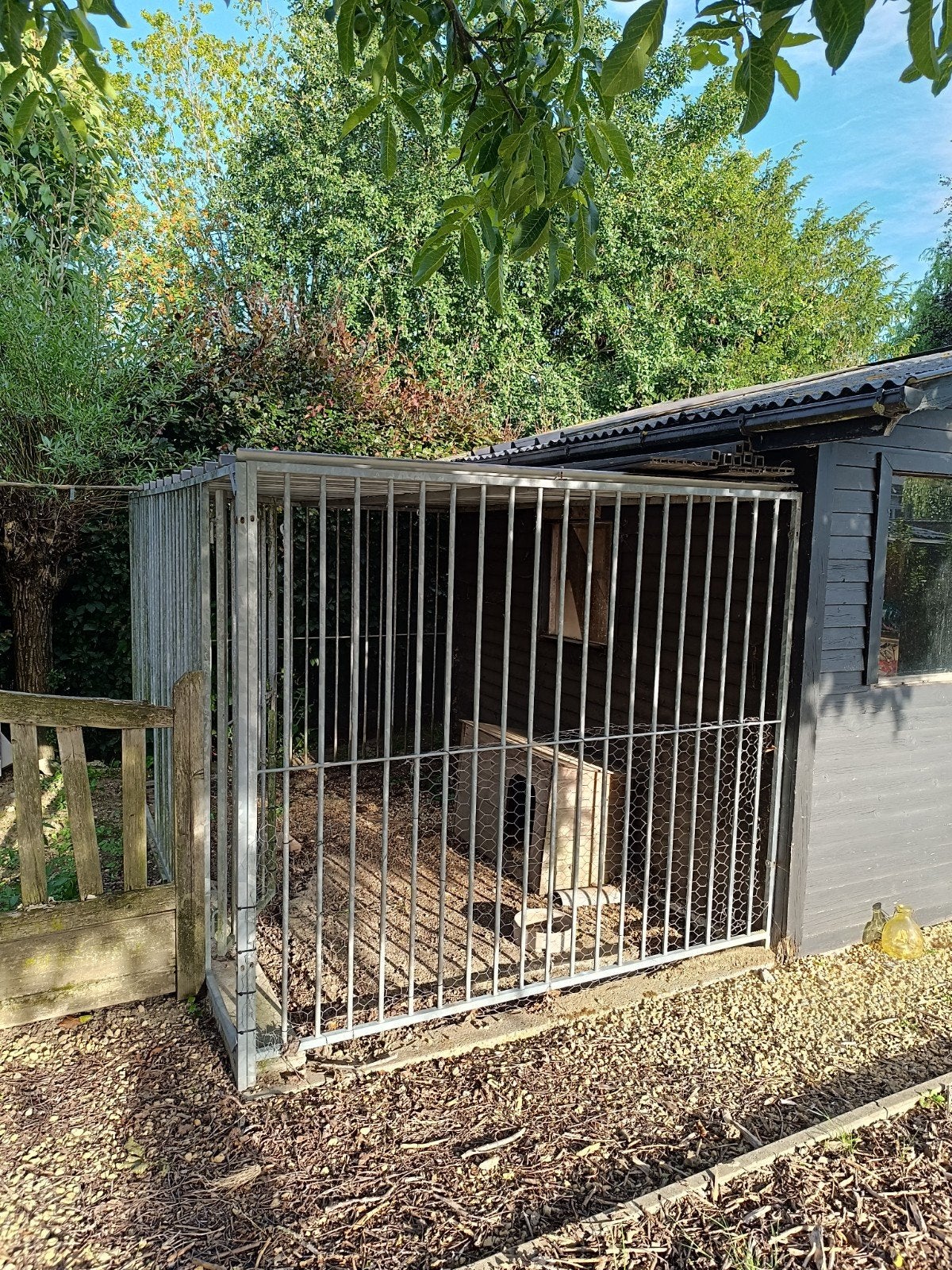 Hondenren met ijzeren dak, Dieren en Toebehoren, Ophalen