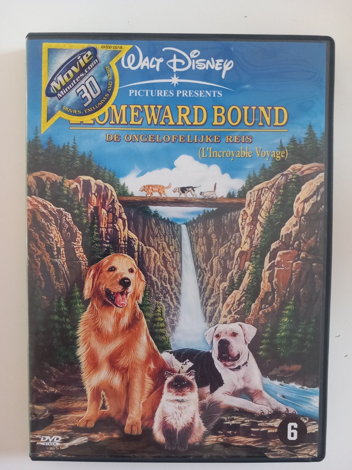 Dvd Homeward Bound/De ongelofelijke reis van Walt Disney, Cd's en Dvd's, Vanaf 6 jaar, Ophalen of Verzenden
