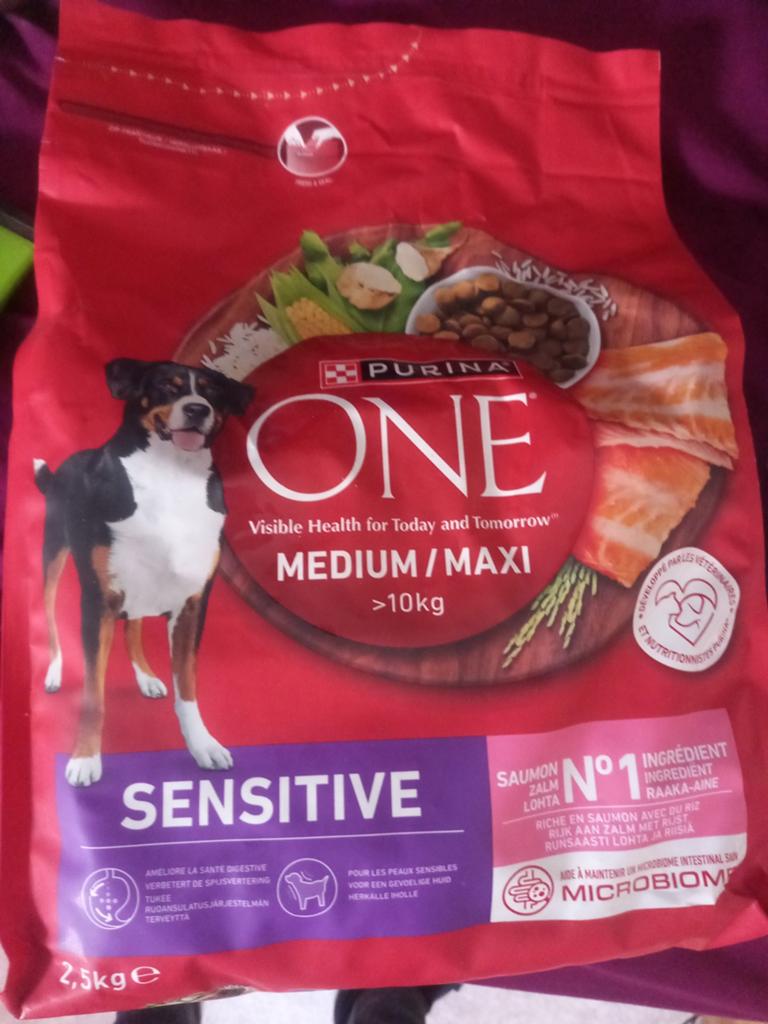 Purina  pour chien, Enlèvement, Chien