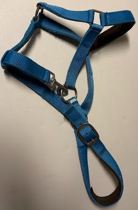 Halster decathlon pony, Ophalen of Verzenden, Gebruikt, Overige soorten