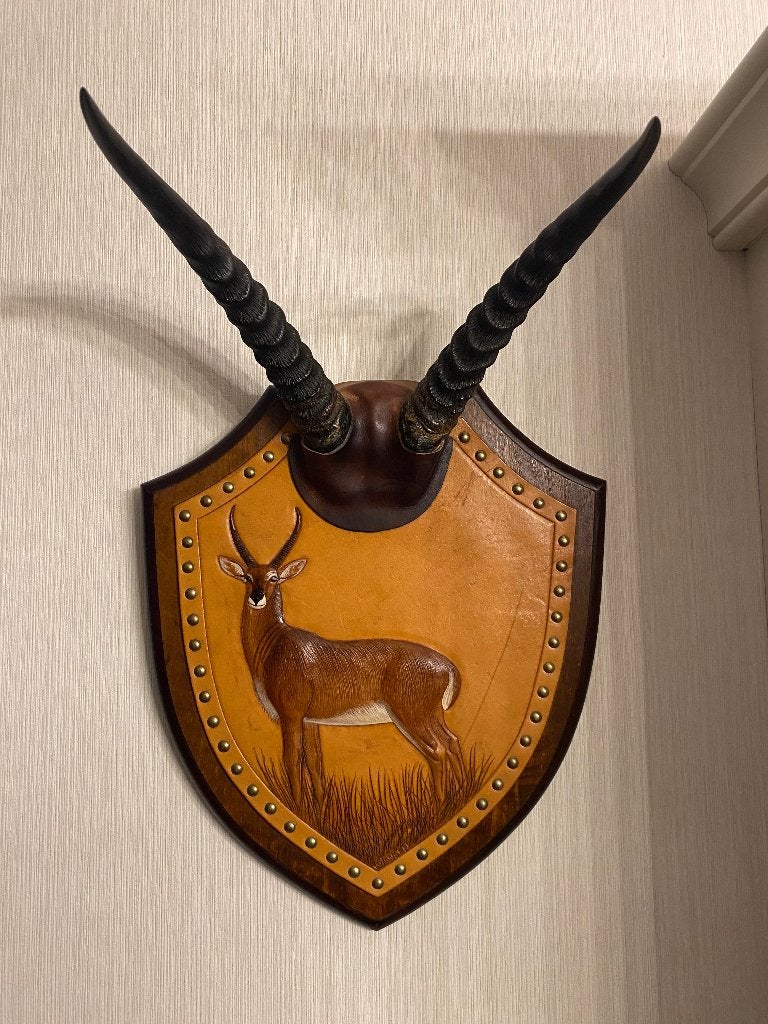 Rietbok, Ophalen, Leer