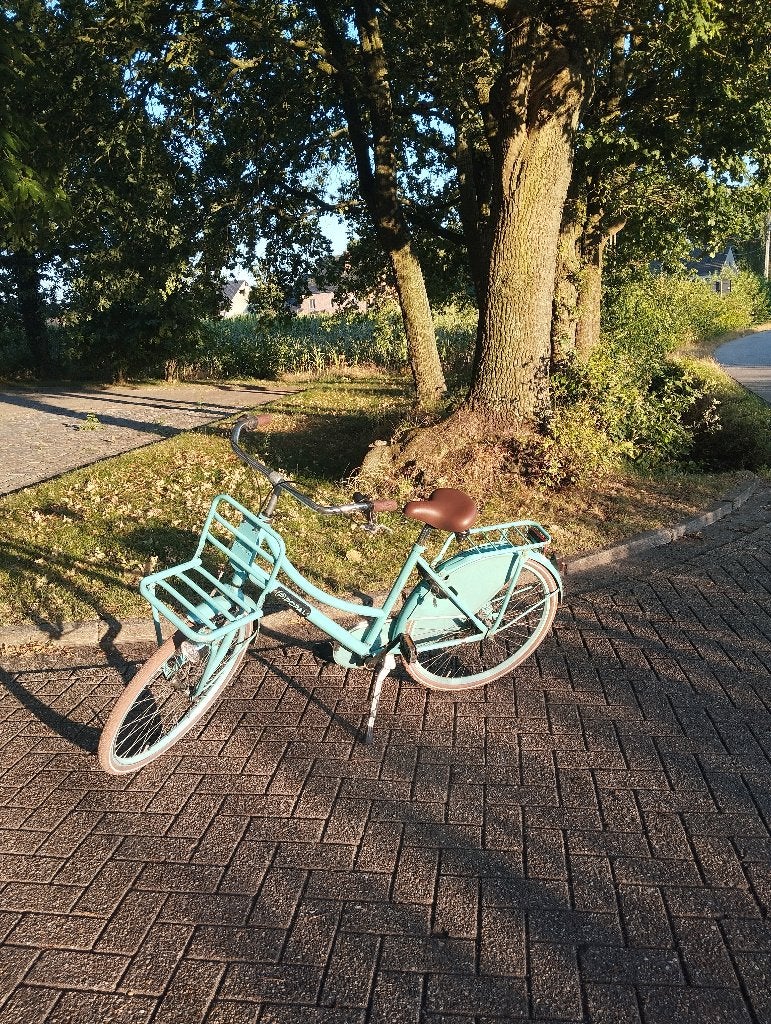 meisjesfiets, Enlèvement, Utilisé, Vitesses