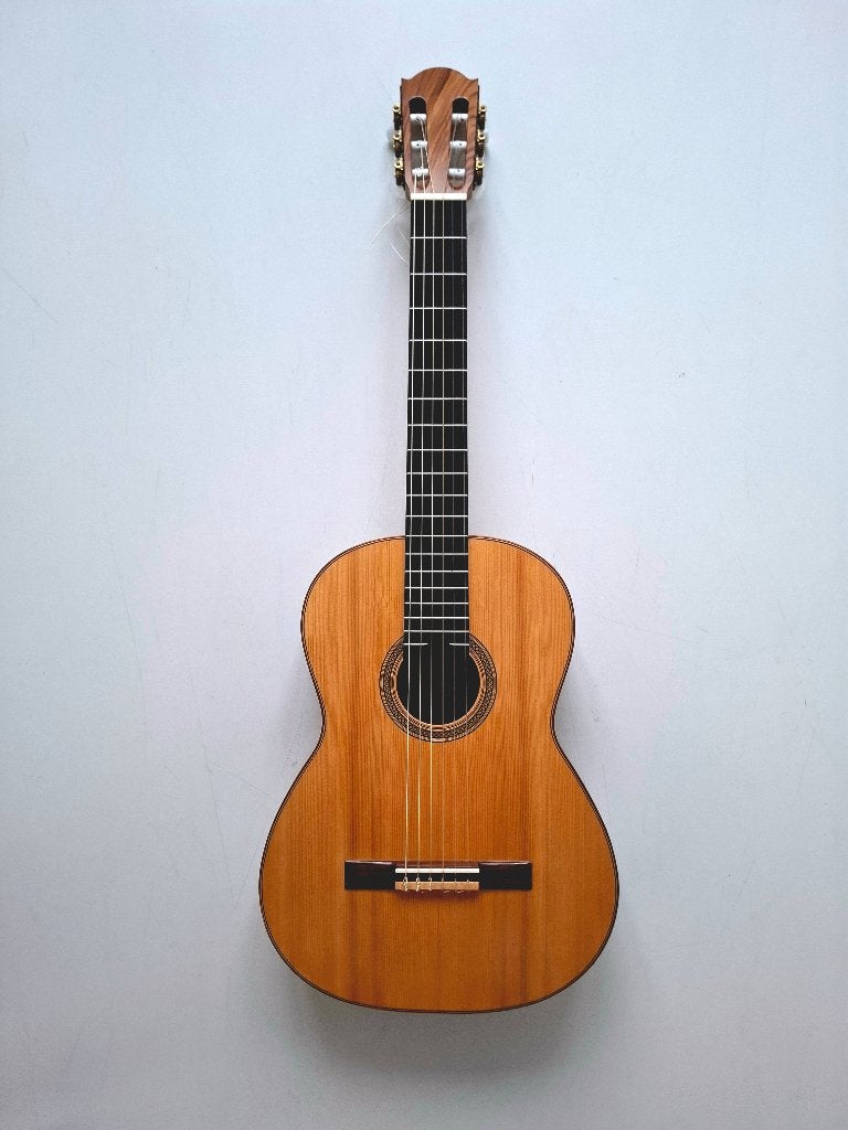 Klassieke gitaar, Muziek en Instrumenten, Snaarinstrumenten | Gitaren | Akoestisch, Gebruikt, Klassieke of Spaanse gitaar, Ophalen