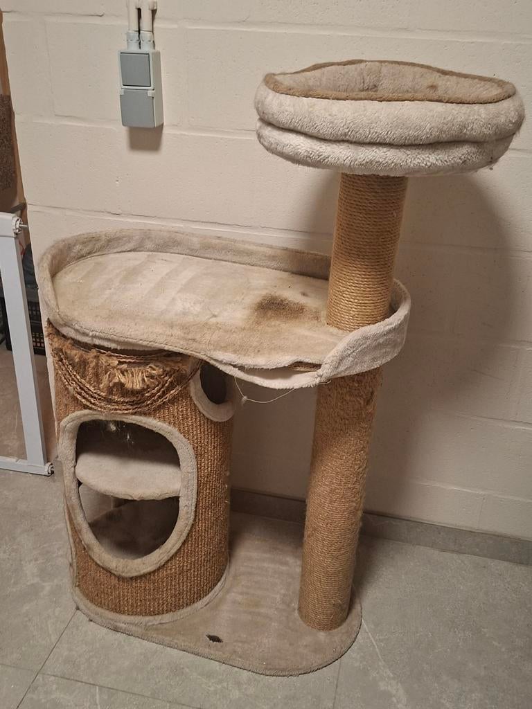 Kattenpaal, gratis af te halen in Peer, Enlèvement
