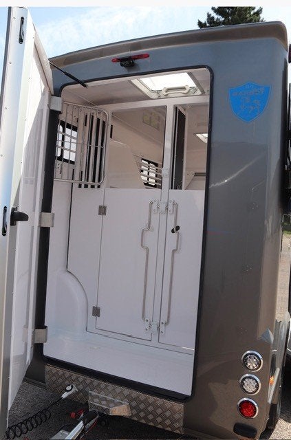PAARDENCAMIONETTE FIAT, Autos, Achat, Entreprise, Automatique, Caméra de recul