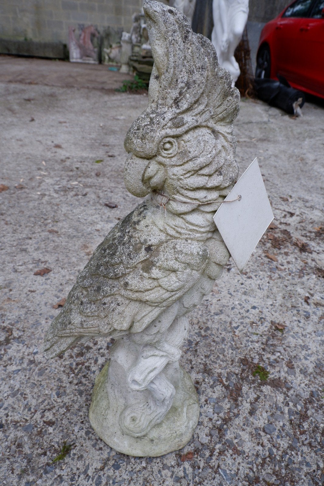 Perroquet en béton, Ophalen