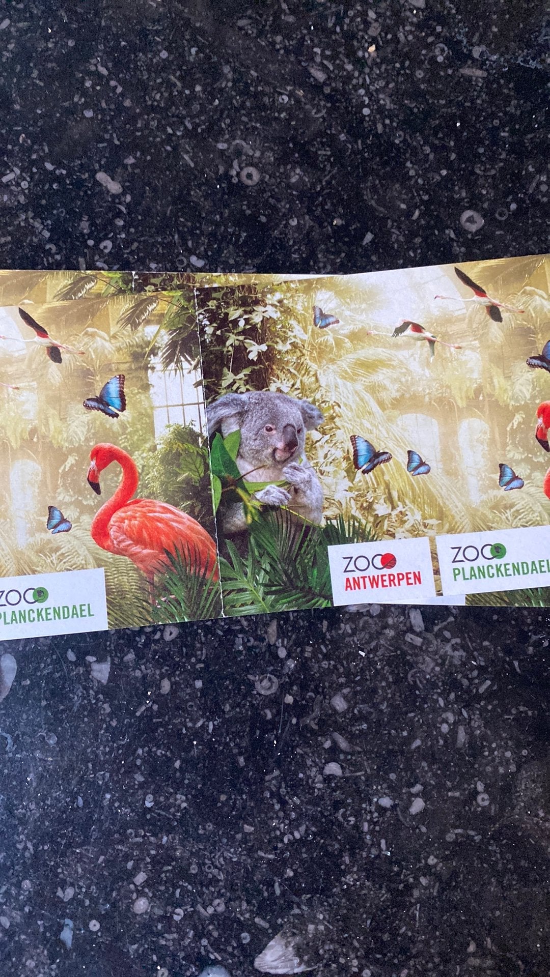 4 tickets voor De Zoo Antwerpen, Tickets en Kaartjes, Drie personen of meer, Ticket of Toegangskaart