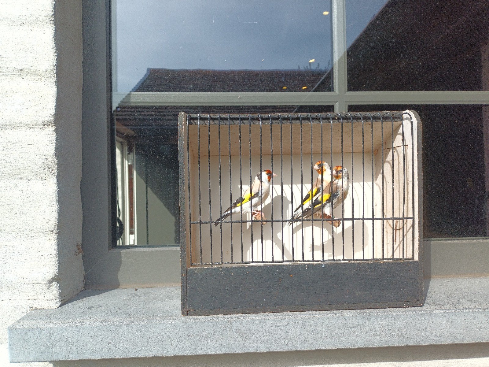 putters, Dieren en Toebehoren