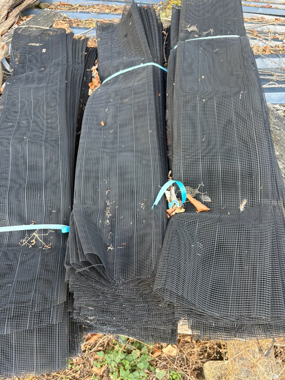 Manchons de protection, Jardin & Terrasse, Enlèvement, Autres espèces, Arbuste, 100 à 250 cm
