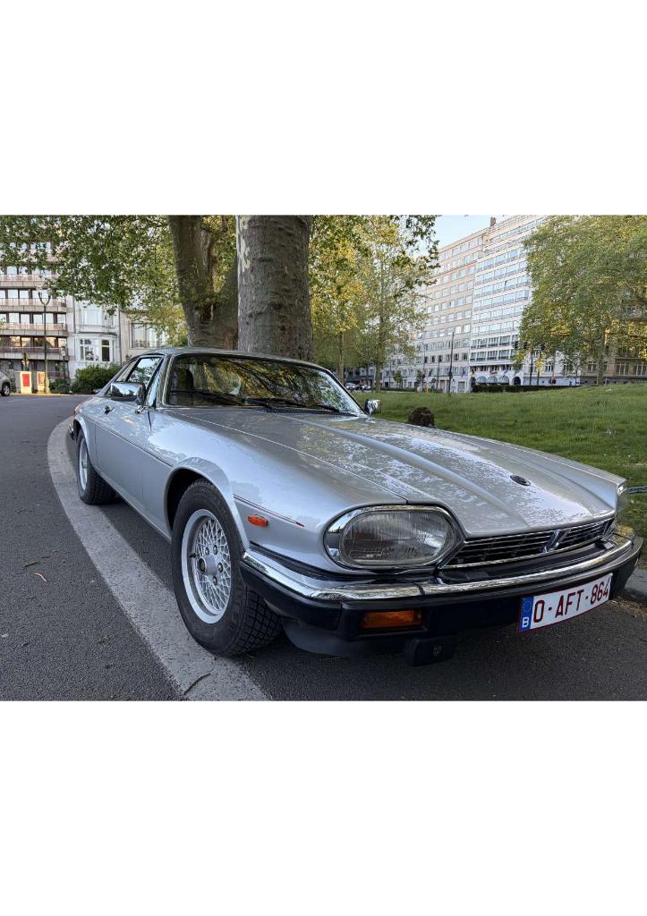 Jaguar XJS 3.6 6 cylindres, Cuir, Argent ou Gris, Achat, Beige