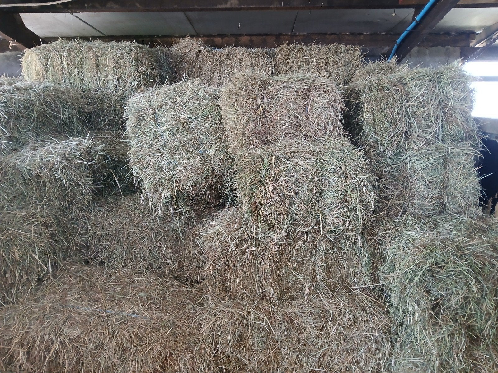 150 pakjes hooi tekoop, Dieren en Toebehoren, Dierenvoeding, Ophalen