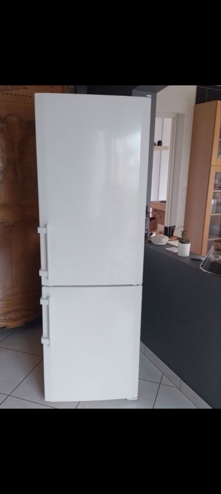 Frigo congélateur Liebherr, Electroménager, Réfrigérateurs & Frigos