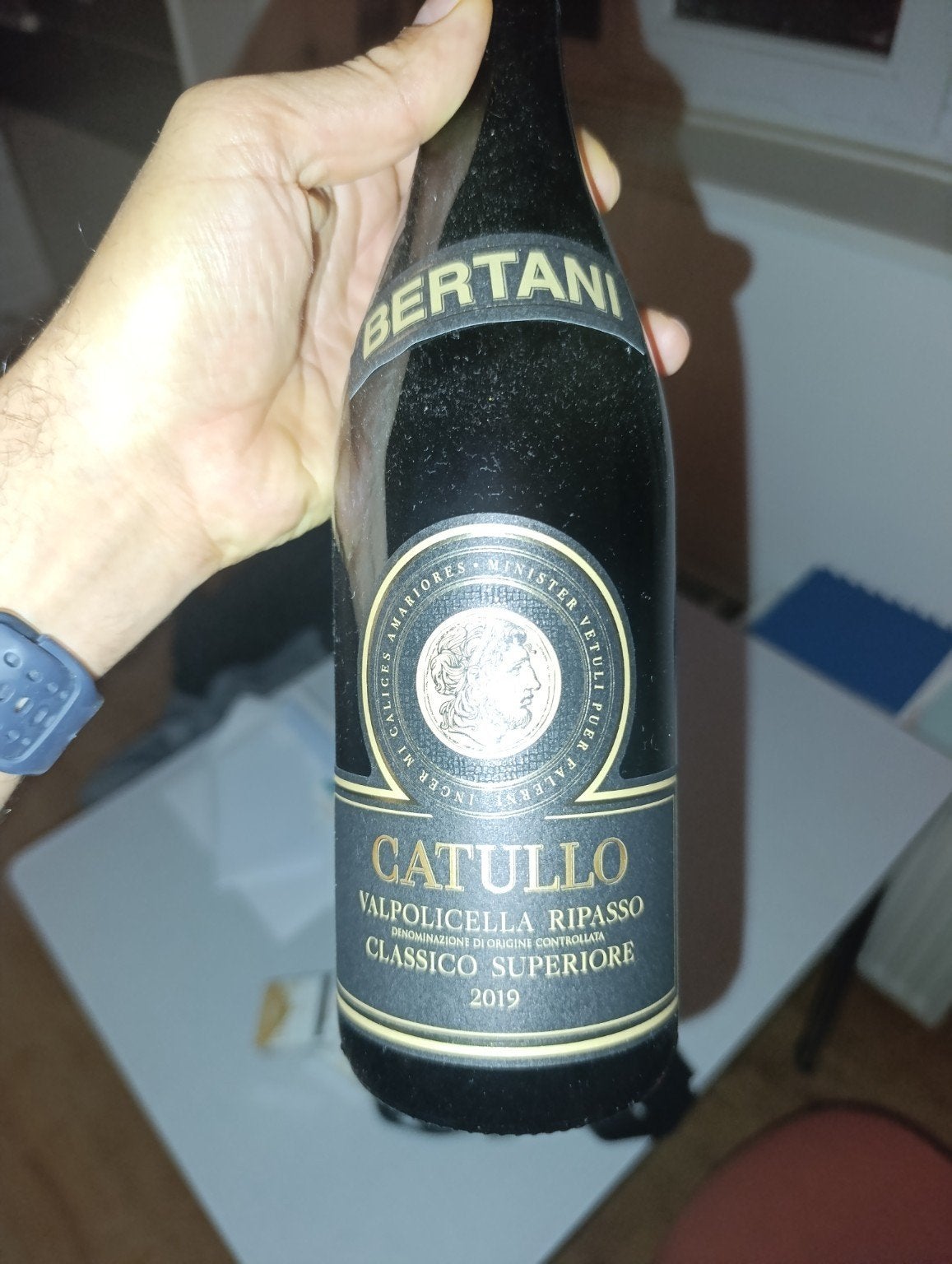Bertani — Catullo Valpolicella Ripasso Classico Superiore DO, Enlèvement ou Envoi