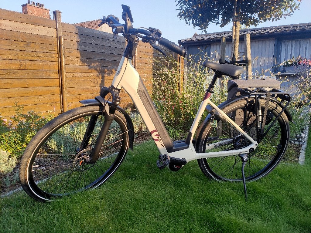 Elektrische fiets, Fietsen en Brommers, Ophalen, Nieuw
