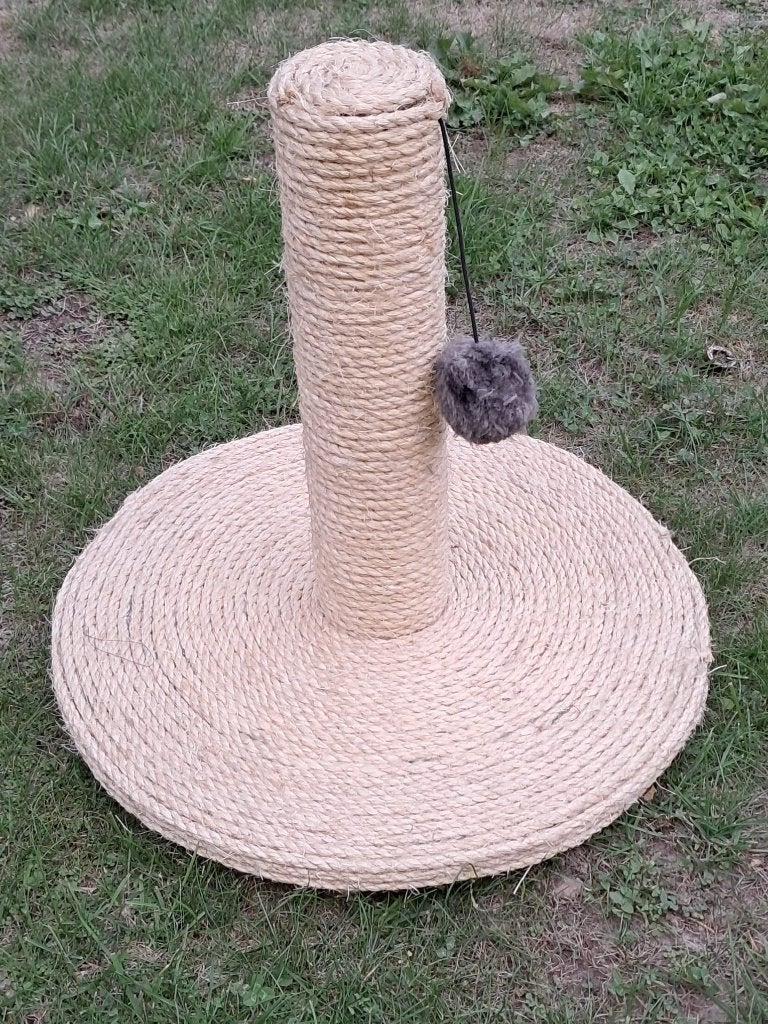 Griffoir pour chat, Enlèvement, Griffoir