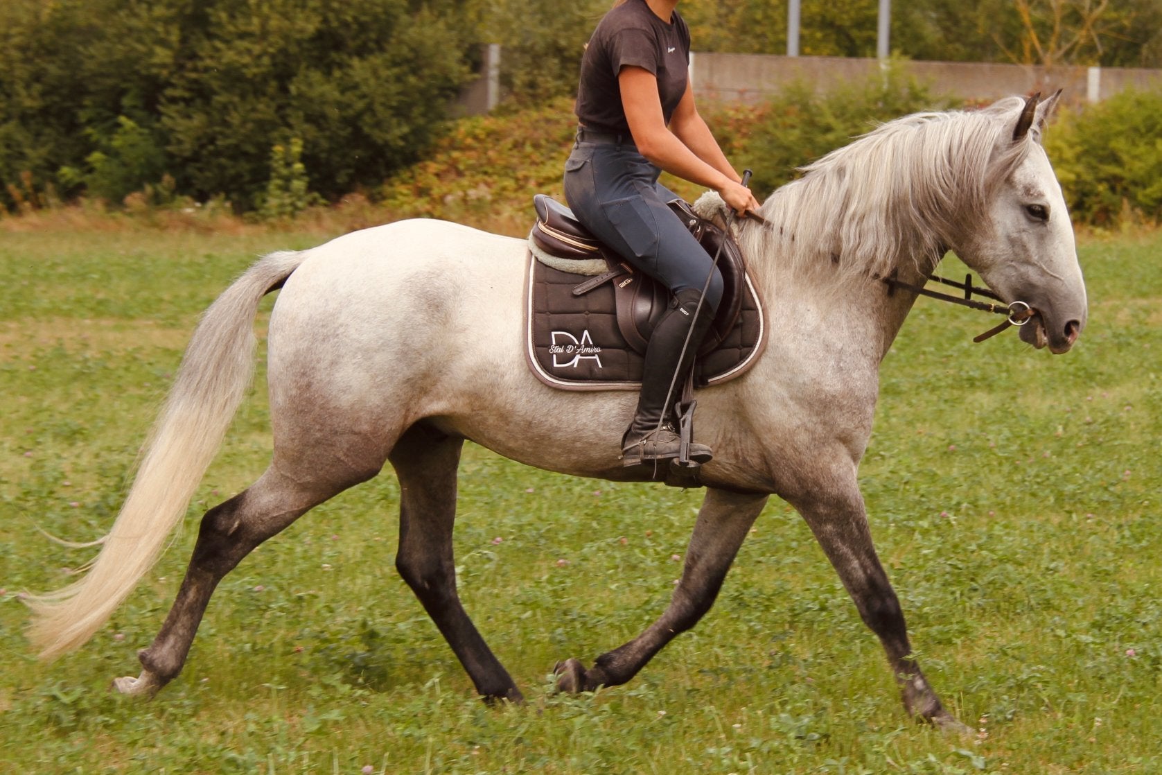 Prachtige, doodbrave 4-jarige ruin ️, Animaux & Accessoires, Chevaux, Avec puce électronique, Hongre, Débourré, Moins de 160 cm