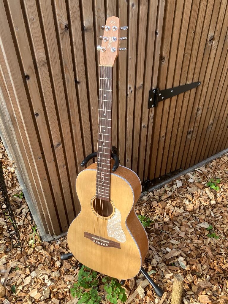 Seagull Entourage Grand Natural Almond Parlor gitaar, Ophalen