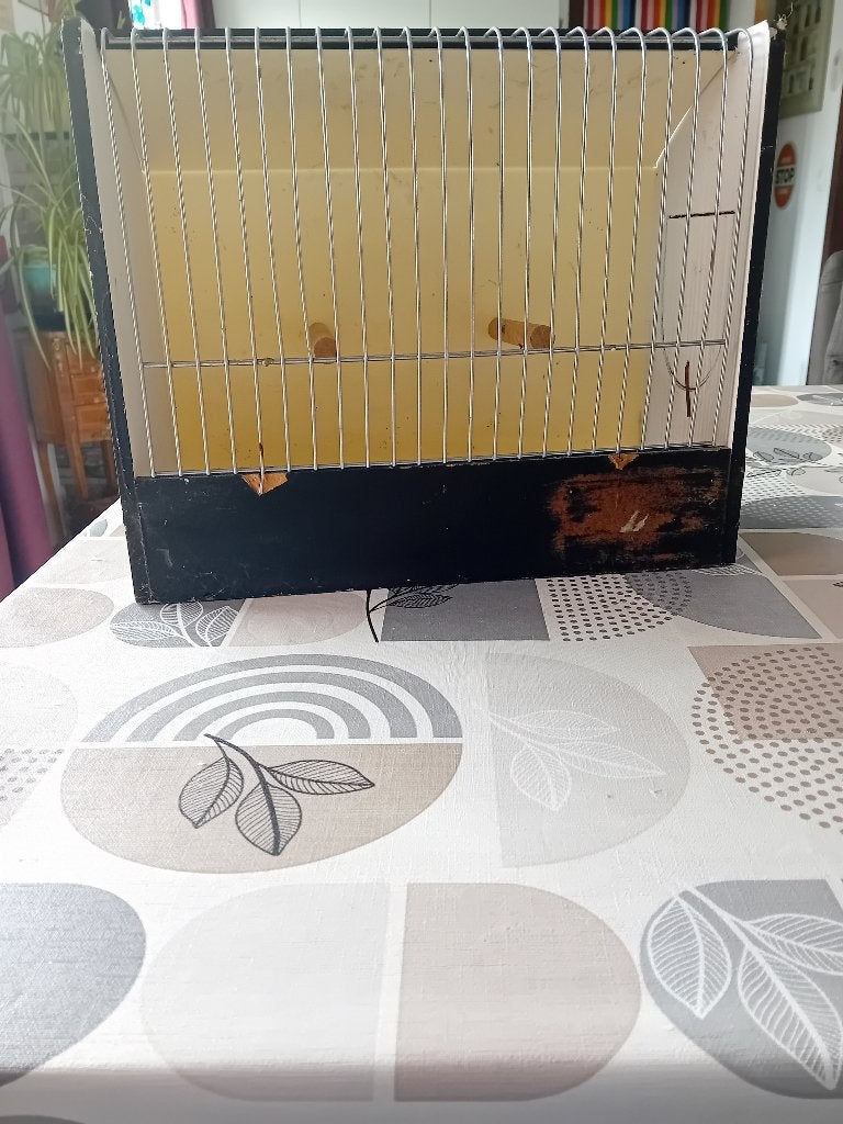 T.t.kooien, Dieren en Toebehoren, Meerdere dieren, Kleurkanarie