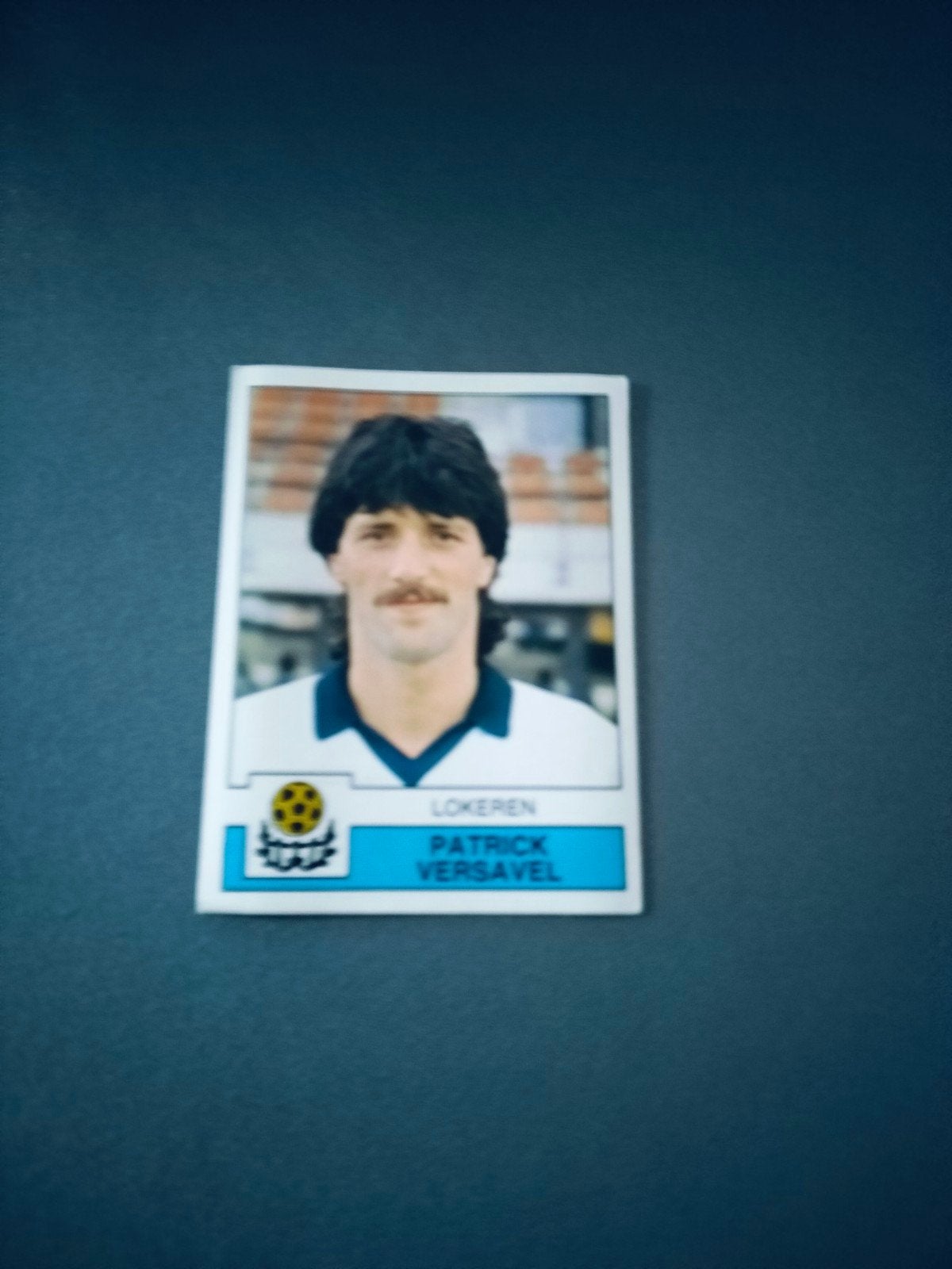 Panini sticker Football 88 Patrick Versavel Lokeren, Enlèvement ou Envoi, Autocollant
