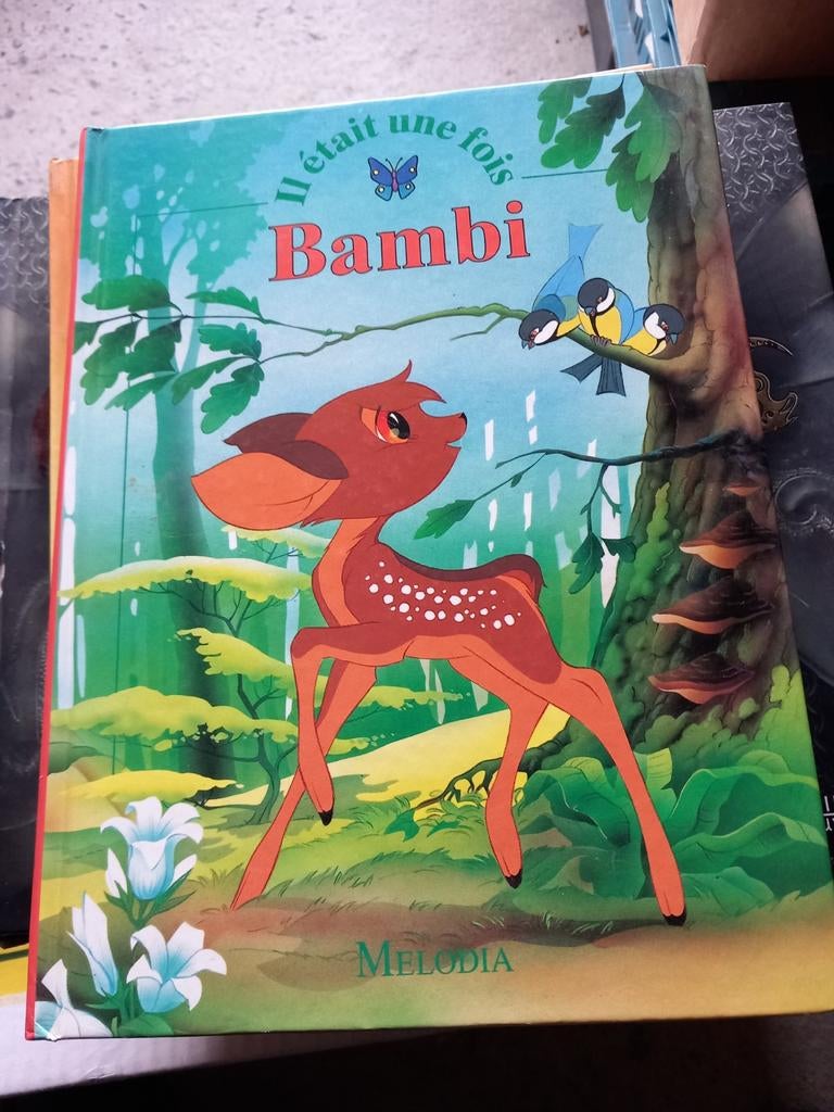 Bd et livres, Enlèvement