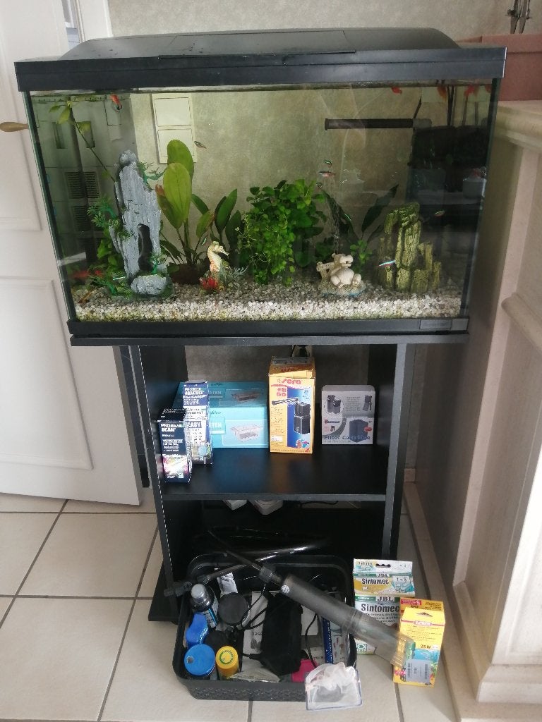 volledig aquarium met vissen en toebehoren, Ophalen, Gebruikt, JBL, Aquariummeubel