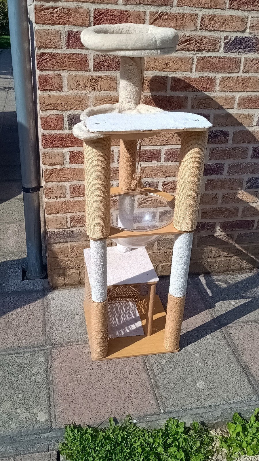Arbre/griffoir pour chat, Enlèvement, Griffoir