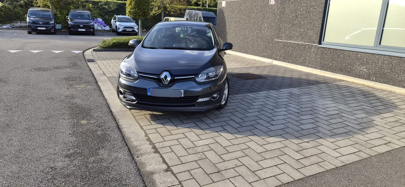 Renault Mégane, Euro 5, https://public.car-pass.be/verify/2852-3079-2366?lang=fr, Zwart, Overige kleuren