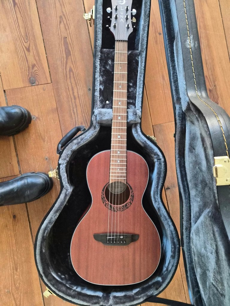 Luna Guitar and case/gitaar en koffer, Muziek en Instrumenten, Ophalen of Verzenden, Zo goed als nieuw, Klassieke of Spaanse gitaar
