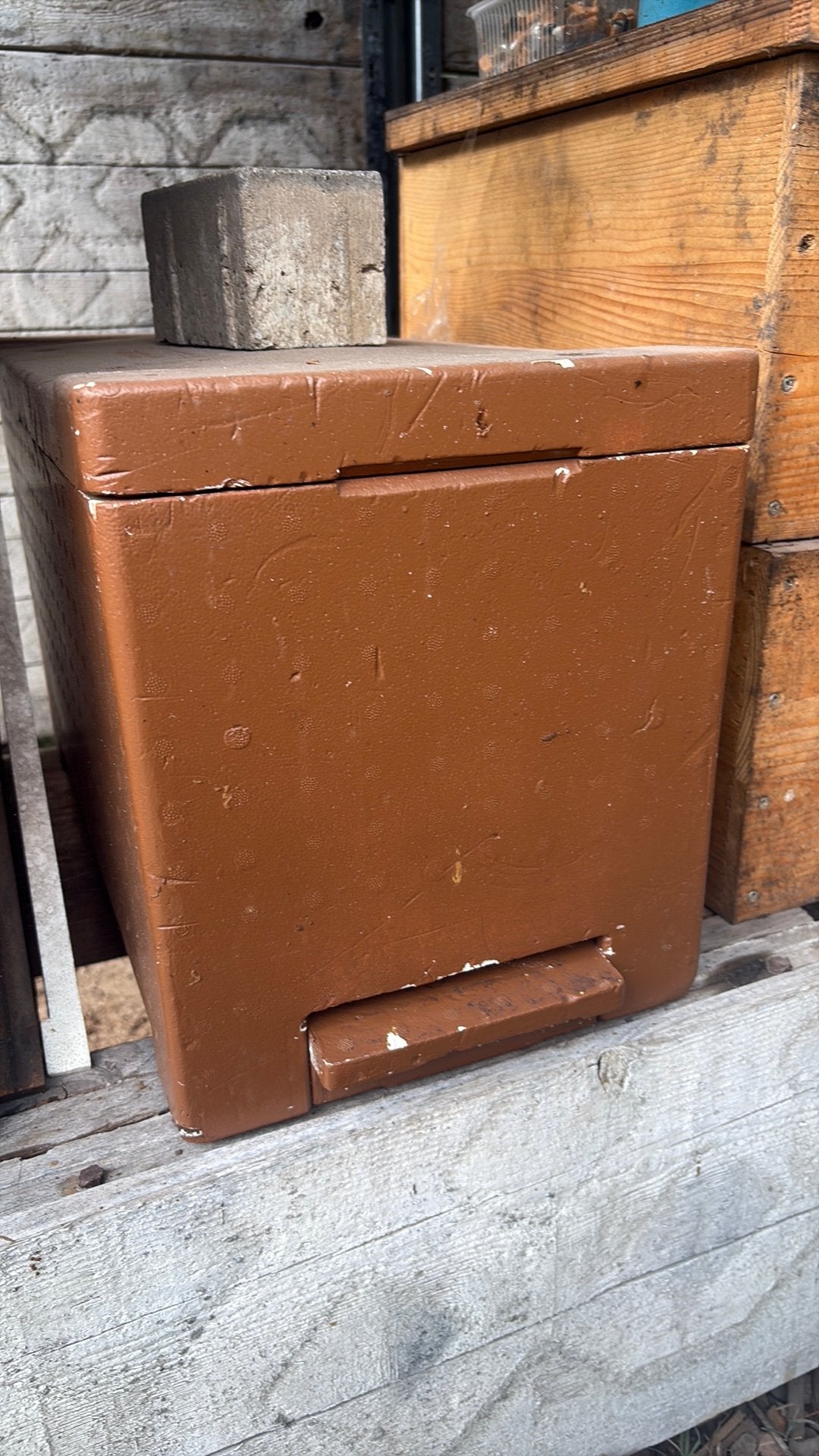 Bijenvolk 6 raams + slinger + kasten, Dieren en Toebehoren, Bijen
